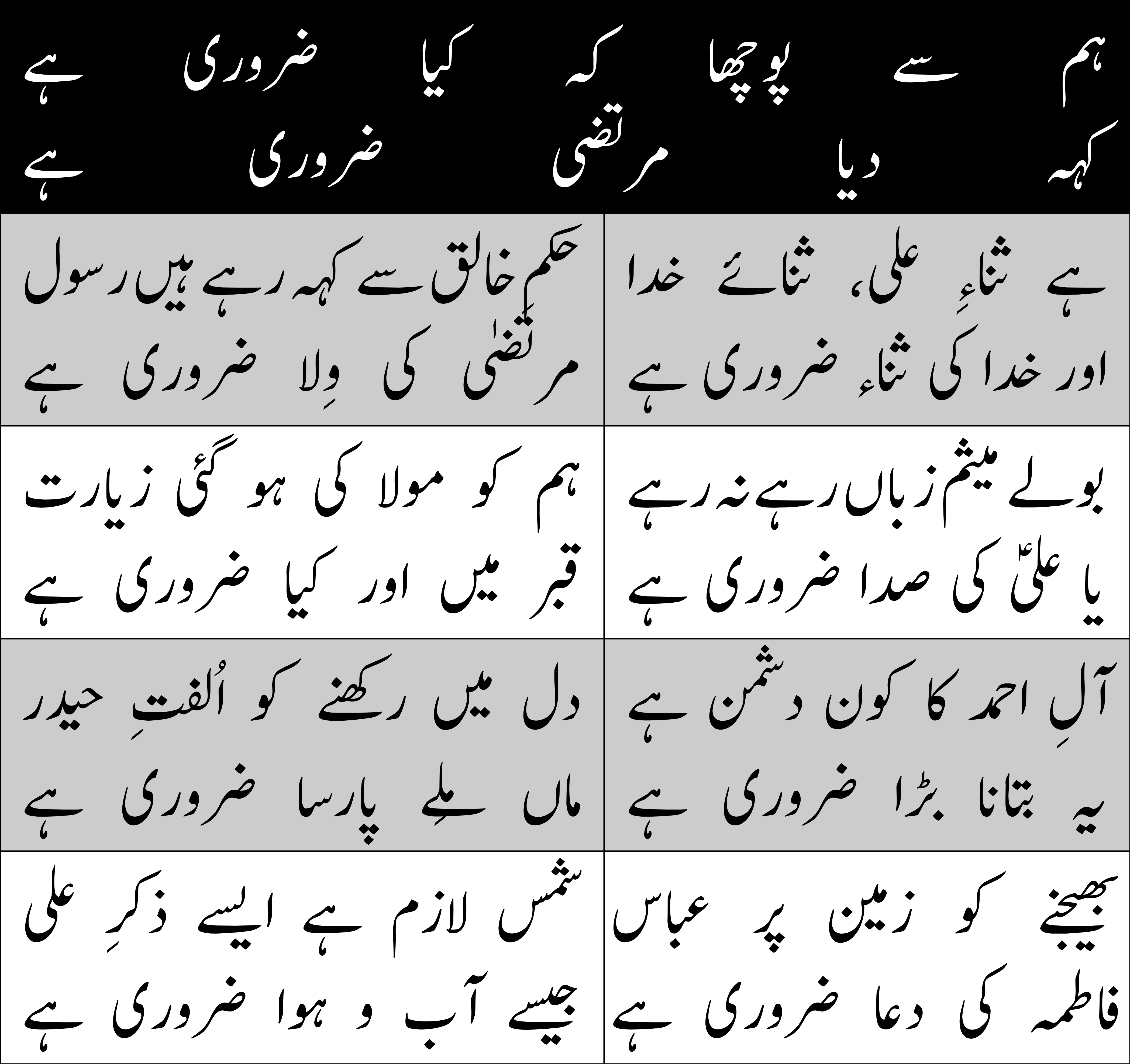 Cover image for ham se pucha ke kiya zaruri hai