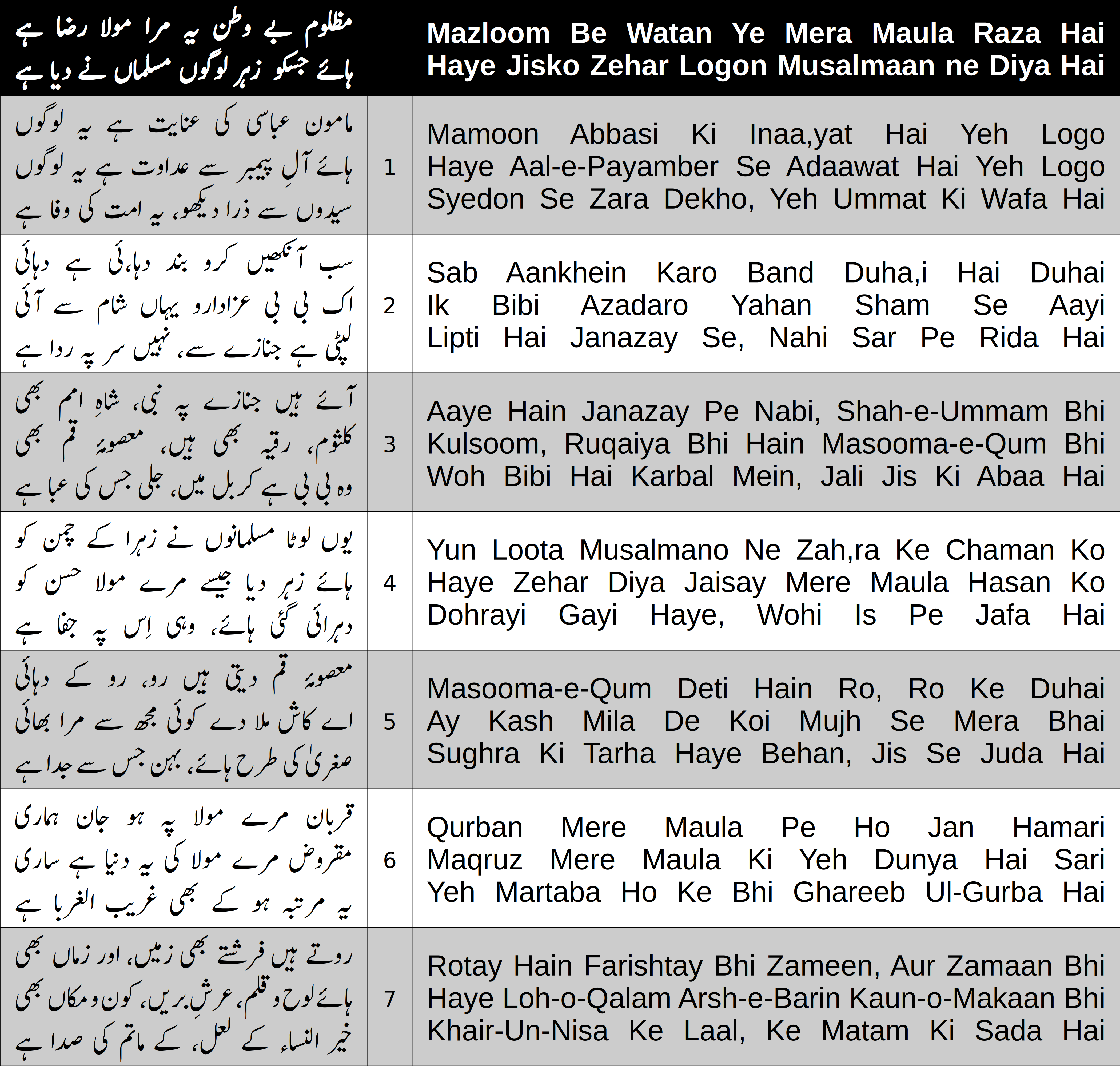 Cover image for Mazloom Be Watan Ye Mera Moula Raza Hai
